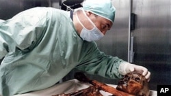 A researcher inspects the 5,300-year-old mummy known as Oetzi, at the Archeological Museum of the Alto Adige in Bolzano, northern Italy, September 2000. (file photo)
