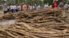 FILE - Cambodian villagers are pictured next to piles of timber in Koh Kong province, 300 kilometers southwest of Phnom Penh, in May 2012. The Cambodian government has long been battling the problem of illegal logging. 