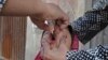 Seorang anak laki-laki menerima vaksin polio saat kampanye anti-polio di Provinsi Farah, Afghanistan, 2020. (Foto: VOA)