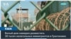Сможет ли Гуантанамо вместить 30 тысяч мигрантов, присланных из США? 