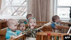 Українці долучилися до Дня прояву доброти
