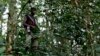 Les rebelles hutu des FDLR ont attaqué un poste de police au Rwanda, selon Kigali