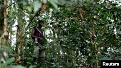Un combattant FDLR dans l'est de la RDC (Archives)
