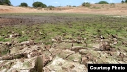 L'insécurité alimentaire au Sahel est due notamment à la sècheresse