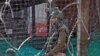 Pakistan Warns India Deploying Missiles in Kashmir to Launch Attack