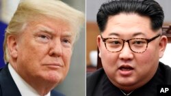 도널드 트럼프 미국 대통령과 김정은 북한 국무위원장.