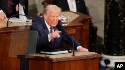 Дональд Трамп выступает в Конгрессе США. 4 марта 2025 года. (AP Photo/Ben Curtis).