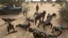 Diffa : le Niger décrète l'état d’urgence