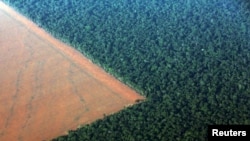 Amazônia