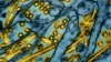 Louisiana reports 1st bird flu-related death in US, state agency says 