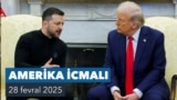 America İcmali 