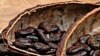 Chocolate: ¿amigo o enemigo?