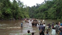 နိုင်ငံပေါင်း ၂၀ ကျော် ကချင်တိုင်းရင်းသားတွေ ဝါရှင်တန်မှာ တွေ့ဆုံကြမည်