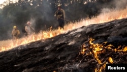 Kebakaran hutan di sebelah utara San Francisco, AS telah menghanguskan 24 ribu hektar lahan (foto: dok).