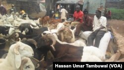 OYO: Kasuwar Raguna a Ibadan