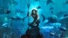 คุยหนัง – ผจญภัยกับราชาสายลุย “Aquaman”