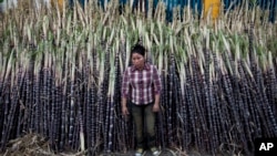 ARCHIVO - Una mujer vende caña de azúcar en el Mercado Oriental de Managua, Nicaragua, el 7 de diciembre de 2012.