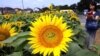 Optimism Linked to Reduced Mortality