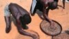 FMI : l'économie sierra-léonaise, lourdement pénalisée par l'Ebola