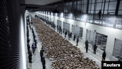 Los prisioneros esperan ser llevados a su celda después de que fueron llevados al Centro de Confinamiento del Terrorismo, en Tecoluca, El Salvador. [Foto vía Reuters del 15 de marzo de 2023]