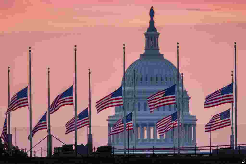 Flags flying a half-staff in honor of Sen. John McCain, R-Ariz., frame the U.S. Capital at daybreak in Washington, Aug. 26, 2018.