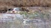 Canada Finds 4th Body After British Columbia Mudslide