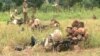 Cameroon Military Frees Hostages, Kills Captors
