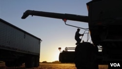 Central Illinois farmer Bob Hogan climbs back into his combine while harvesting soybeans in Pawnee, Illinois, October 7, 2010 (file photo)
