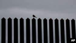El juez Keno Vásquez emitió una prohibición temporal el martes en Texas contra el grupo "We Build the Wall" (Nosotros construimos el muro), que llegó a recaudar 25 millones de dólares para erigir una valla privada. 