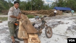 A villager is seen here tying timber to his motorcycle for trading with the logging company as two UN investigator are looking around in the compound of the logging company, April 27, 2012. 