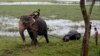 Monsoon Floods Swamp Northeast Indian Villages, 21 Dead