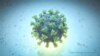 Una imagen de computadora creada por Nexu Science Communication junto con el Trinity College en Dublín, muestra un modelo estructuralmente representativo de un betacoronavirus, que es el tipo de virus vinculado al COVID-19. [Vía Reuters]