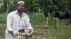 Militan Serang Pos Pemeriksaan Pakistan, 3 Orang Tewas