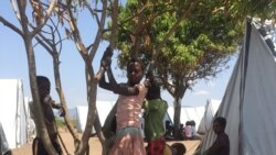 Mais de 100 mil familias em risco de fome em Manica