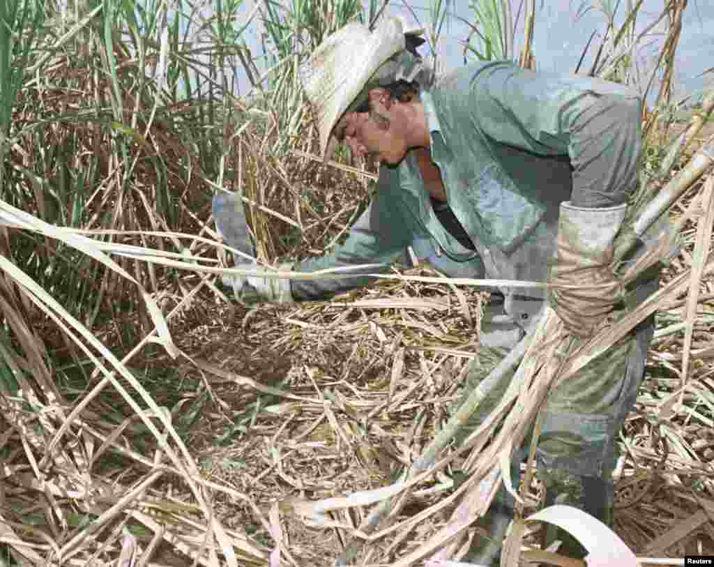 En 1970 fracasa la "zafra de los 10 millones". Cuba voltea hacia la órbita económica soviética, y en 1972 ingresa en el Consejo de Ayuda Mutua Económica (Came).