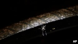 Podría haber más casos de dengue en Venezuela de los que reporta el ministerio de salud del país. 