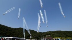 민간 ‘대북정보’ 유입 활동 6년만에 재개…“더 장려해야”