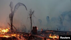 Api membakar lahan di Hutam Amazon di Machadinho do Oeste, negara bagian Rondonia , Brazil, 2 September 2019.
