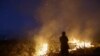 Casa Blanca pide más atención a la prevención de incendios forestales