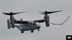 MV22“魚鷹”軍機