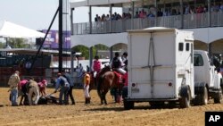 Officials tend to Congrats Gal after the horse collapsed at Pimlico Race Course, May 17, 2019, in Baltimore. 