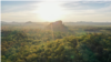 Activists Decry Ongoing Deforestation at Prey Lang Forest 