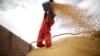 Reuters: Development in Brazil Putting Earth’s Environment at Risk