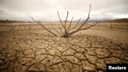 Dried-out branches are seen amongst caked mud at Theewaterskloof dam near Cape Town, South Africa, Jan. 20, 2018.