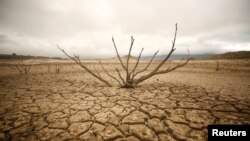 De la boue séchée au barrage Theewaterskloof près de la ville du Cap, en Afrique du Sud, le 20 janvier 2018.