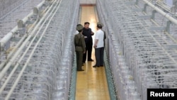 北韓官方2024年9月13日發布的照片​​顯示: 北韓領導人金正恩在北韓一個未公開地點參觀核武研究所和武器級核武材料生產基地的設施。