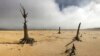 Much Publicized ‘Day Zero’ Changed Cape Town Forever