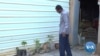 Pandemic Lockdown in Sudan Cultivates Home Gardening 