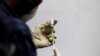 Un médecin remplit une seringue de COVAXIN, un vaccin expérimental COVID-19 soutenu par le gouvernement indien, avant de l'administrer à un agent de santé lors de ses essais, à la Gujarat Medical Education and Research Society à Ahmedabad, en Inde, le 26 novembre 2020.