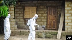 塞拉里昂醫務人員在弗里敦郊外一處住房外噴灑殺菌藥